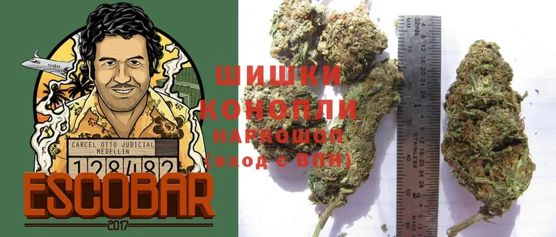 цена   Прокопьевск  Марихуана SATIVA & INDICA 